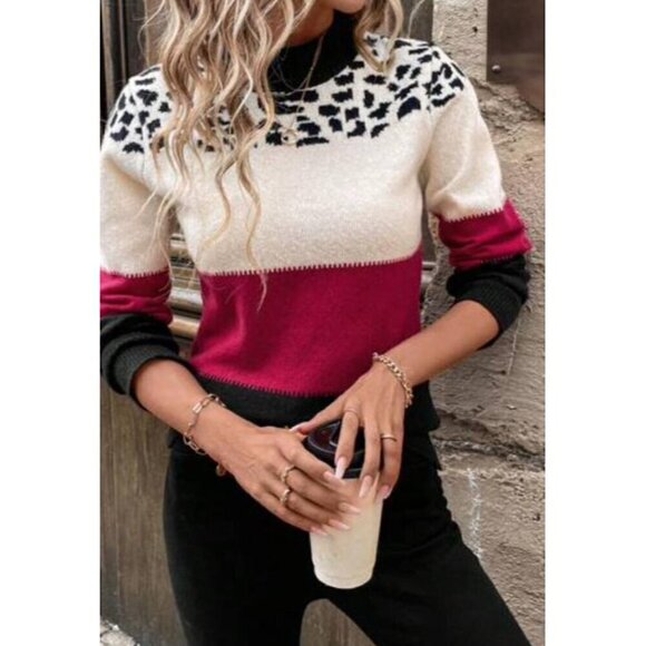 Casual Leopard Print Multicolor Pullovers - Picture 5 of 5